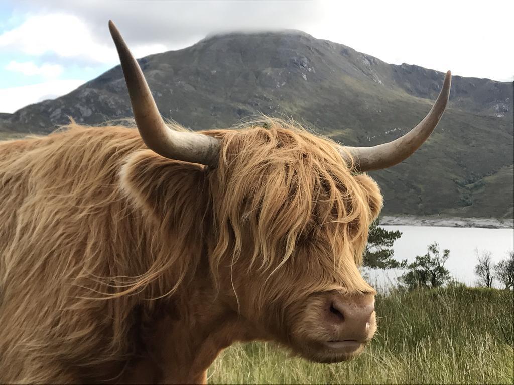 Caledonian Cabin Invergarry Eksteriør billede